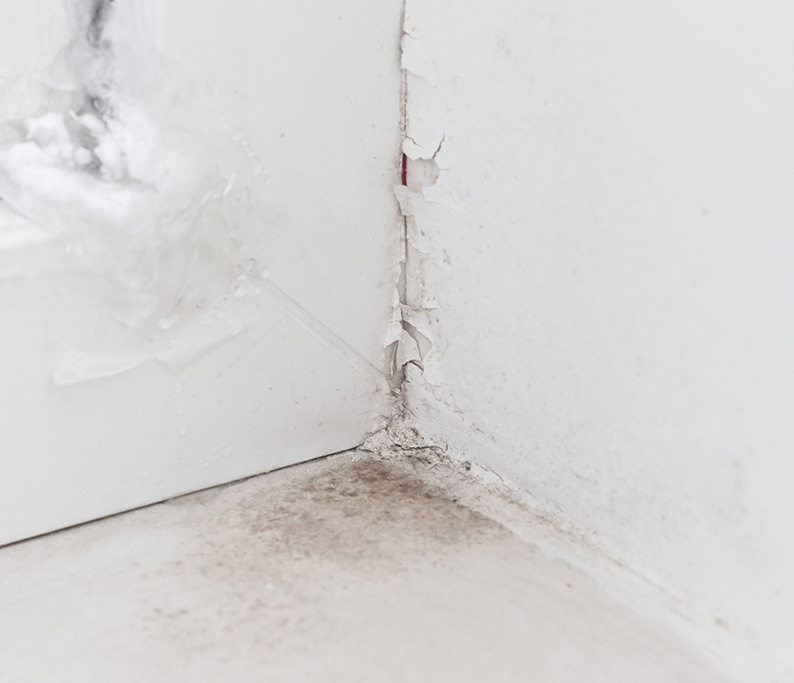  Water Damage Restoration Raleigh, NC